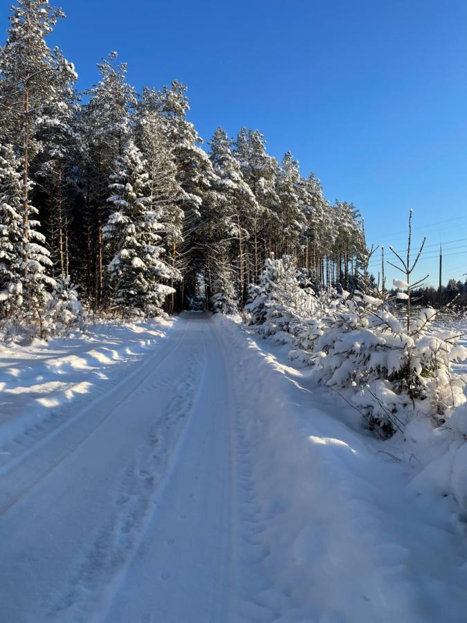 Villa Kaeaenu Puhkemaja à Rakvere Extérieur photo